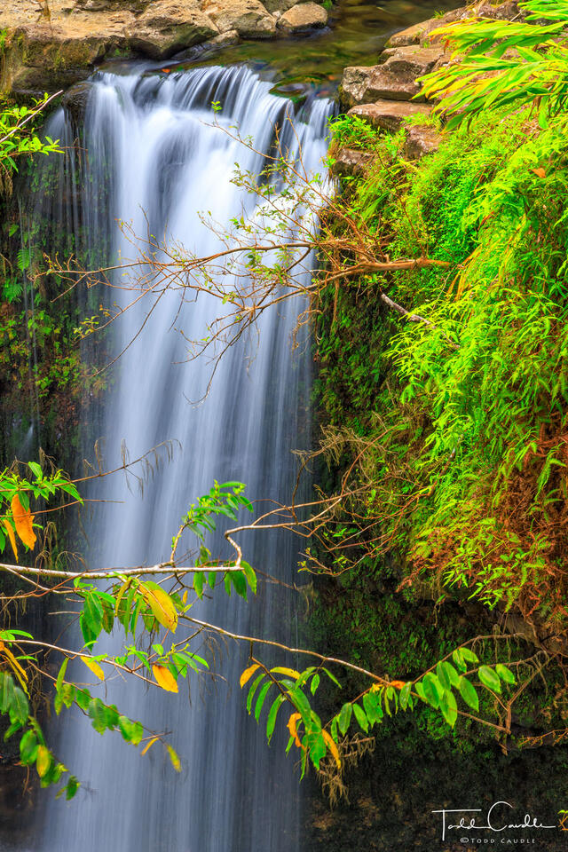 Waterfall Along the Road to Hana (vertical #2) print