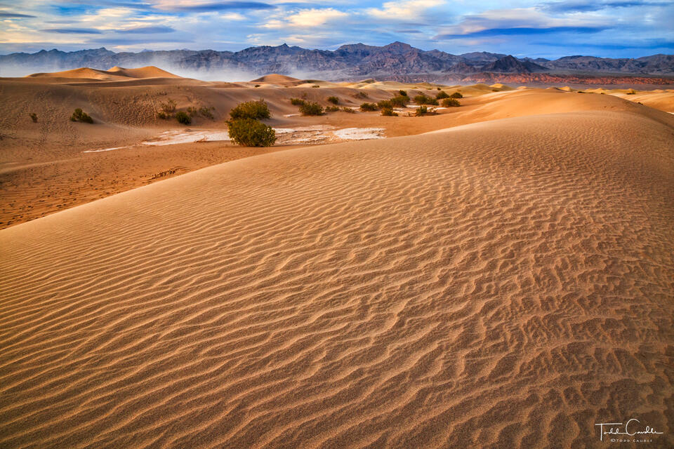 Windstorm in the Desert print