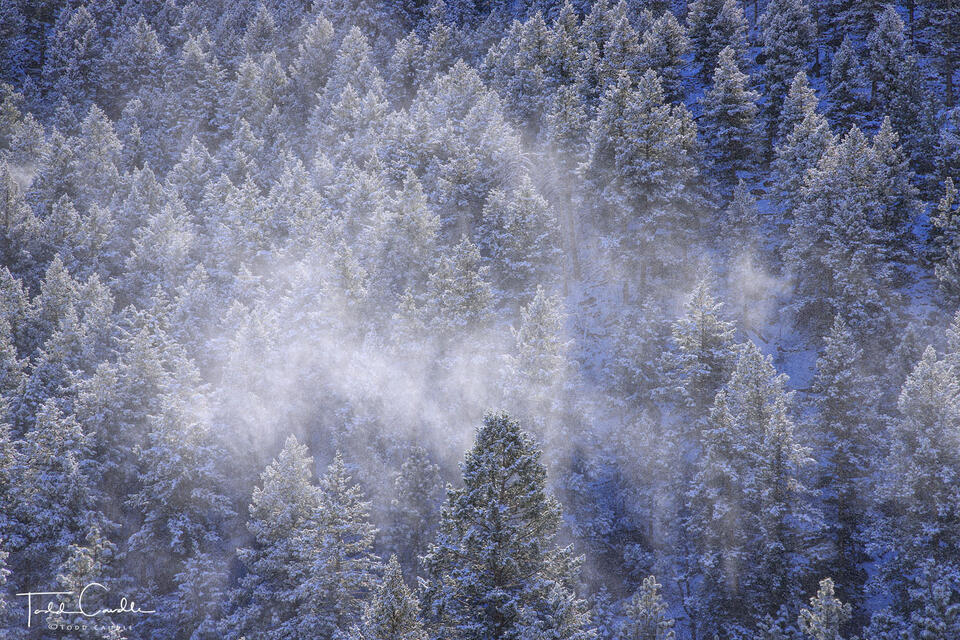 Fresh Snow on Lookout Mountain print