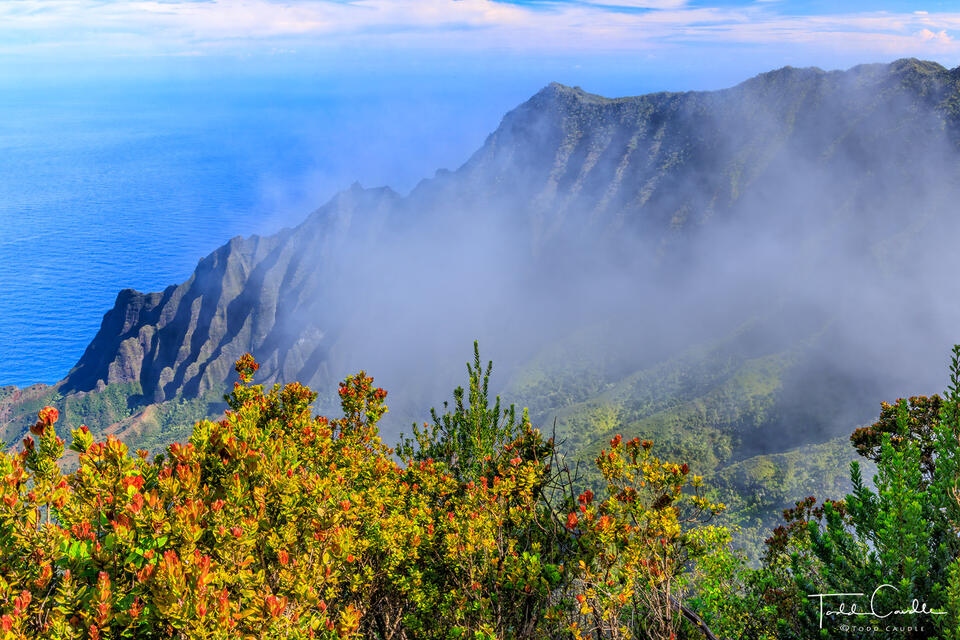 Looking Down on the Kalalau Valley print