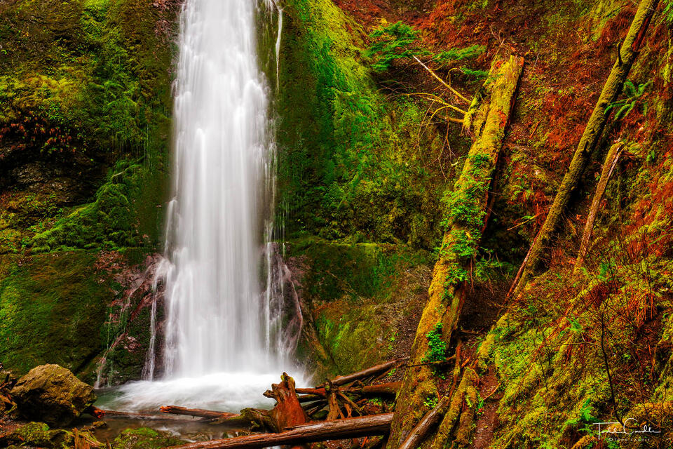 Marymere Falls print