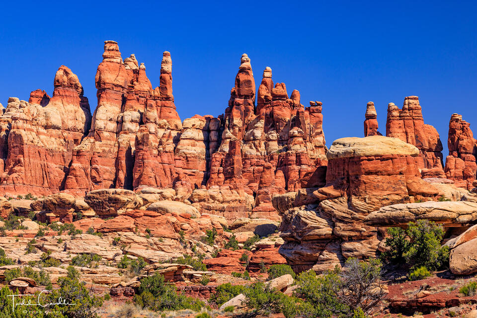 Chesler Park Needles print