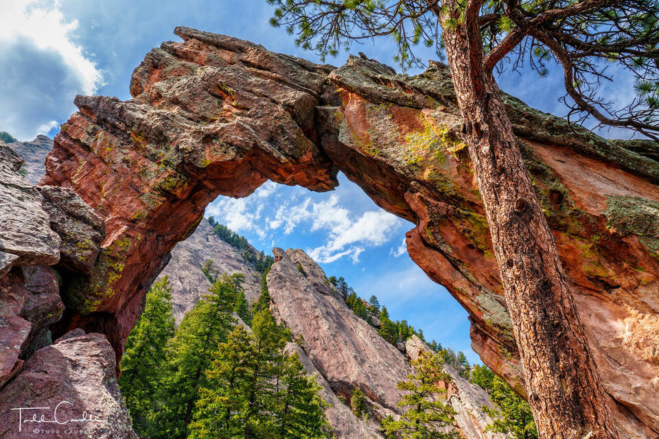 Royal Arch print