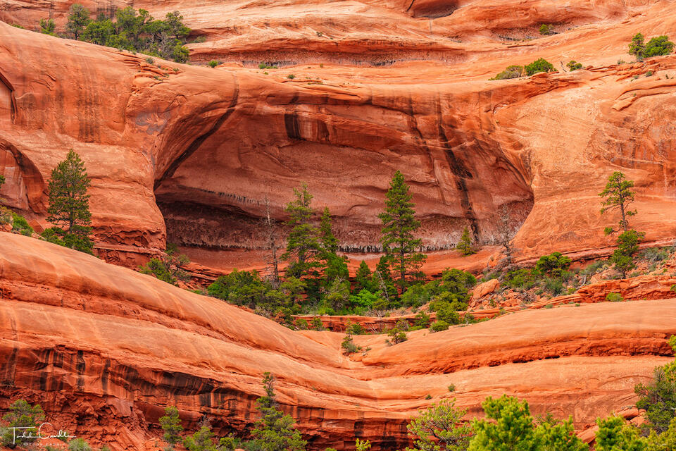 Desert Alcove print