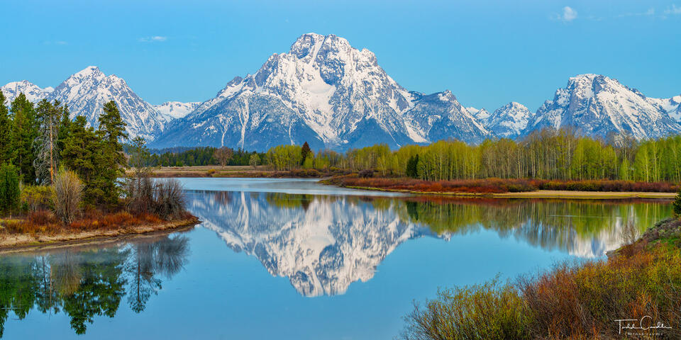 Oxbow Bend Spring Reflection (panorama) print
