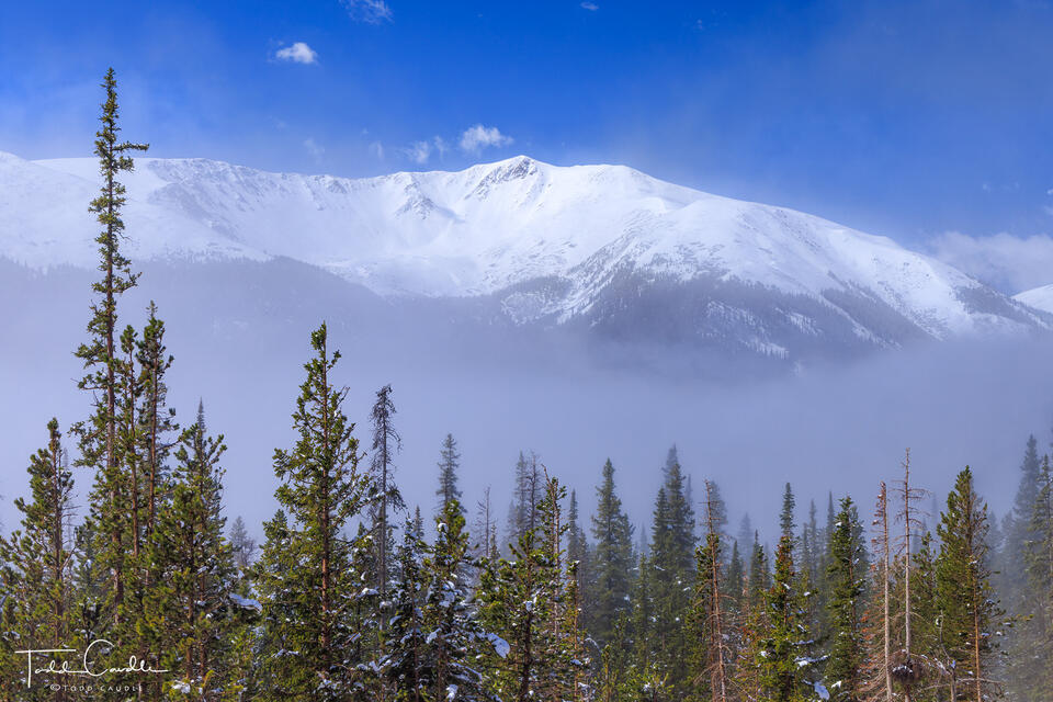 Fog on Berthoud Pass print