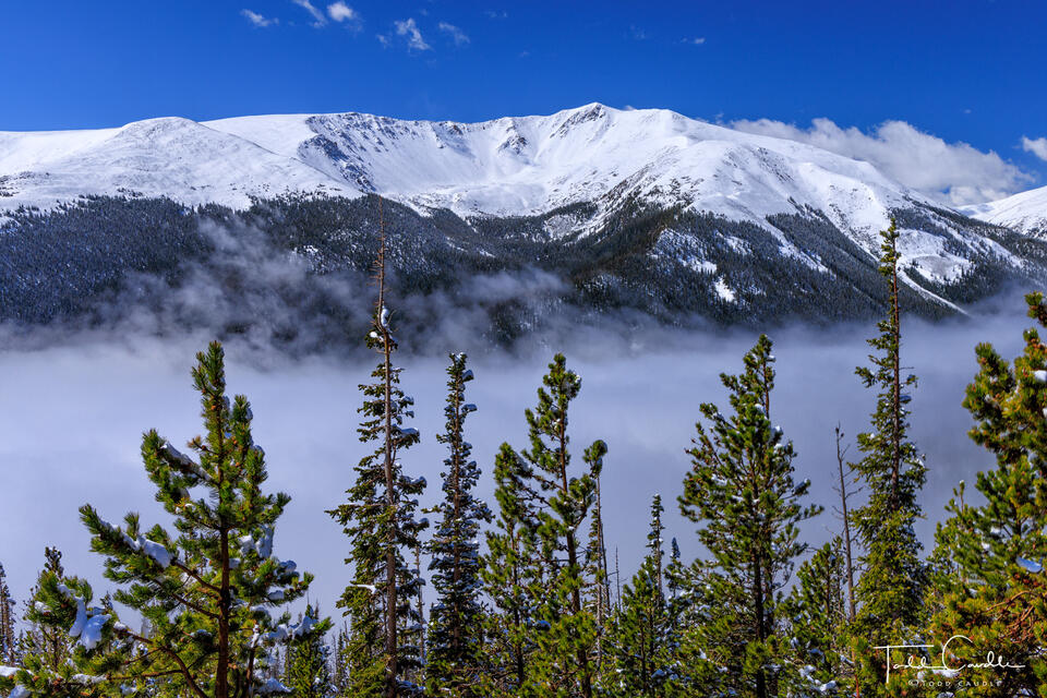 Berthoud Pass Fog print