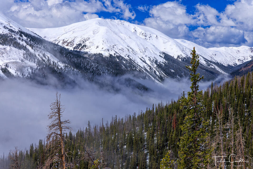 Fog & Snow print