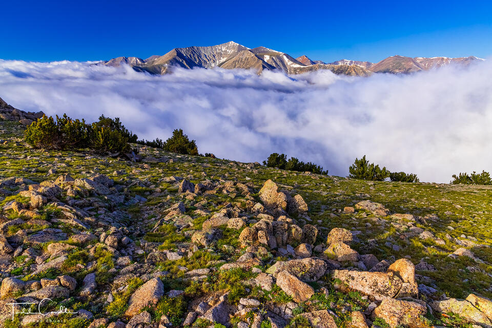 Mount Antero and a Sea of Clouds print