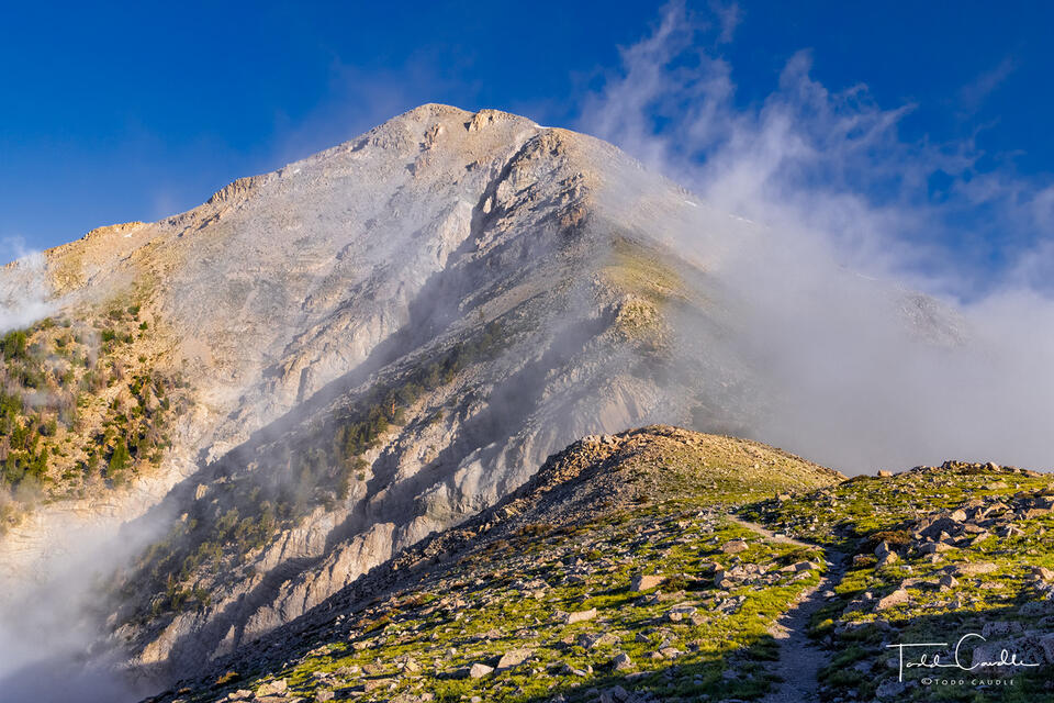 Tigger Peak Clouds print