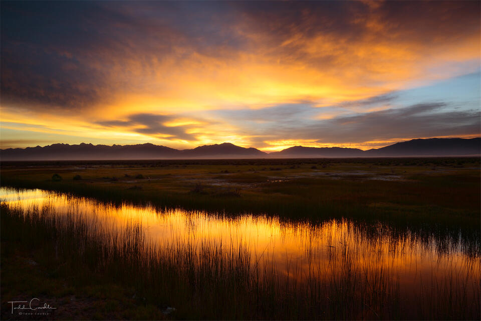 Smoky Sunrise Reflection print