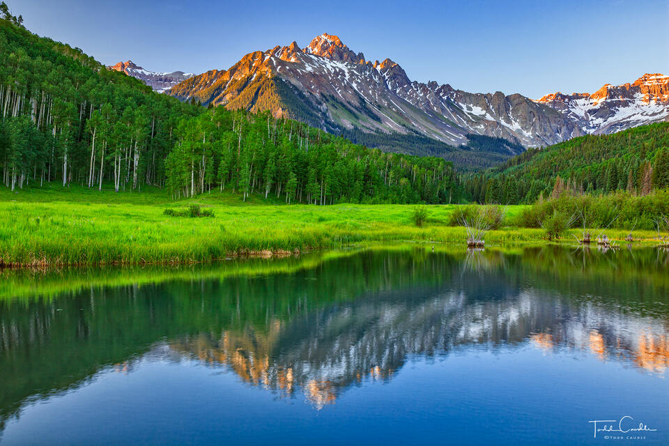 Springtime Reflection print