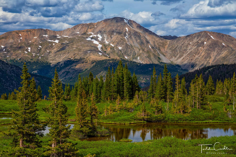 Mount Yale Tarns print