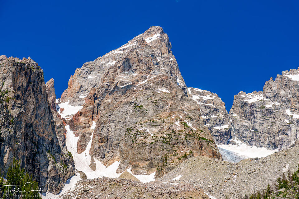 Portrait of The Grand Teton print