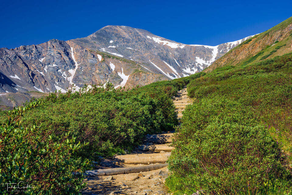 Grays Peak Trail View print