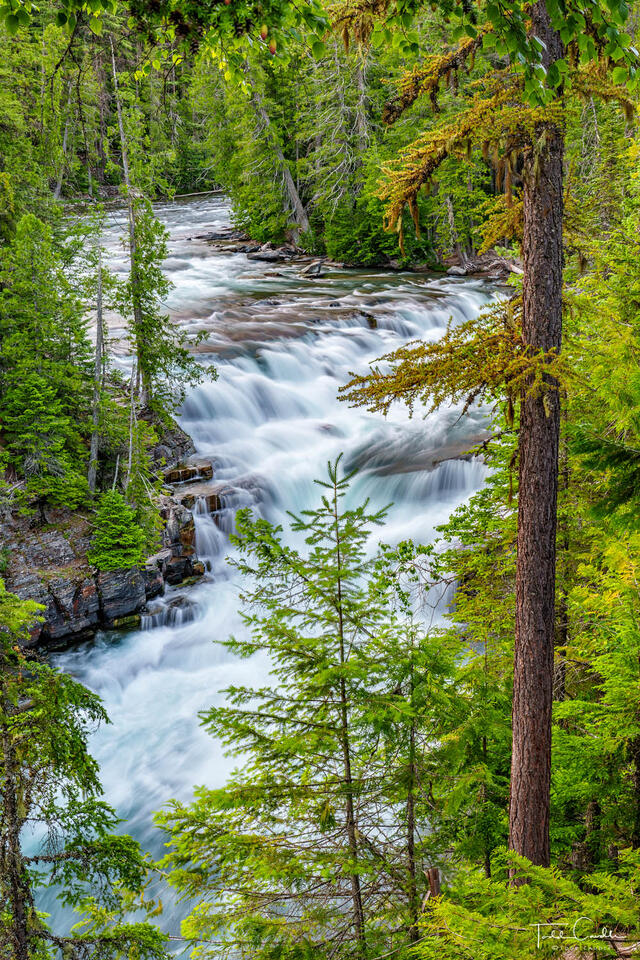 McDonald Falls print