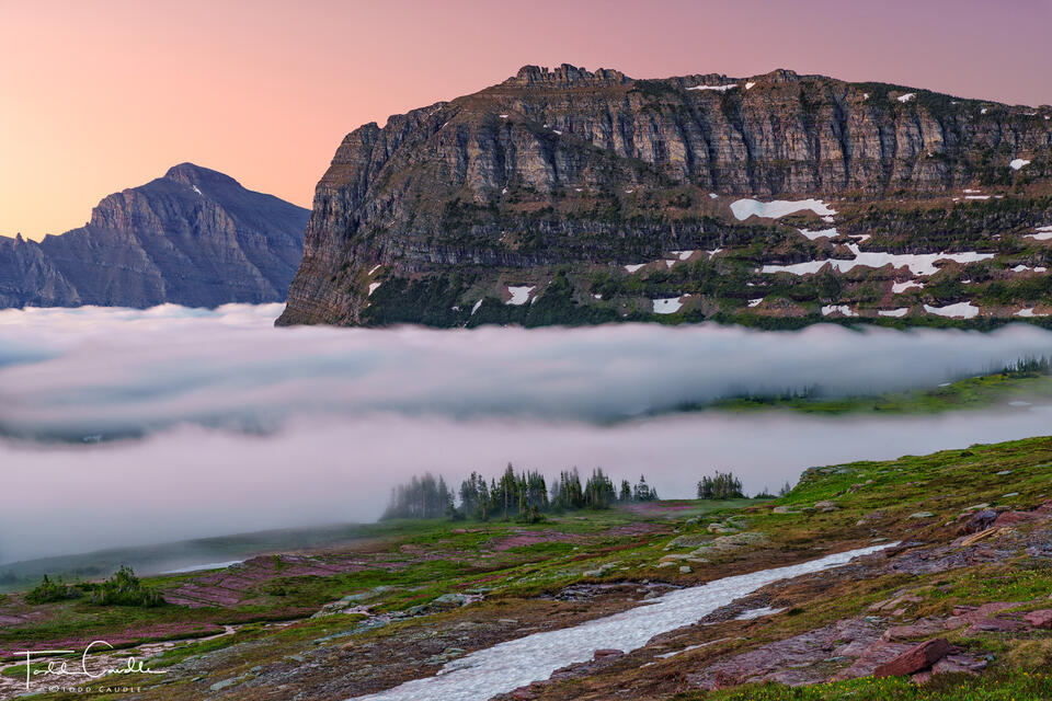 Predawn Glow at Logan Pass print