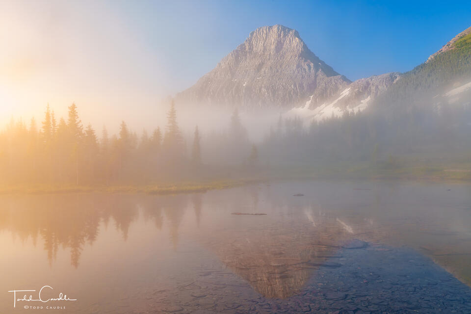 Morning Sun and Reynolds Mountain Through Fog print