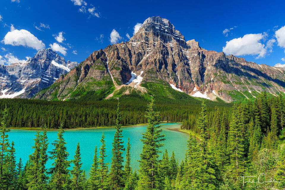 Mount Chephren & Waterfowl Lakes (horizontal) print
