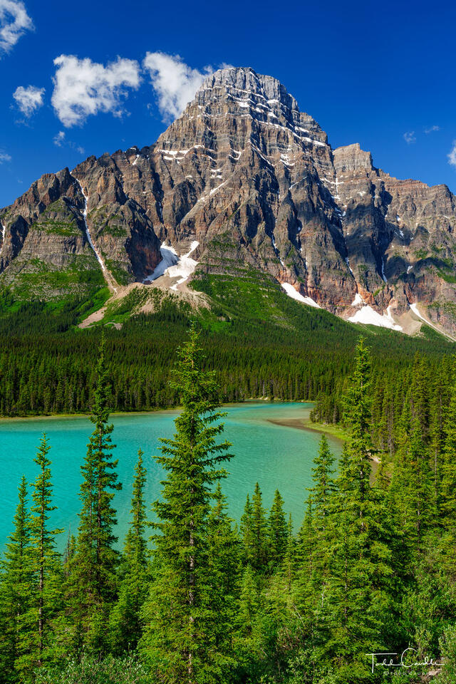 Mount Chephren & Waterfowl Lakes (vertical) print