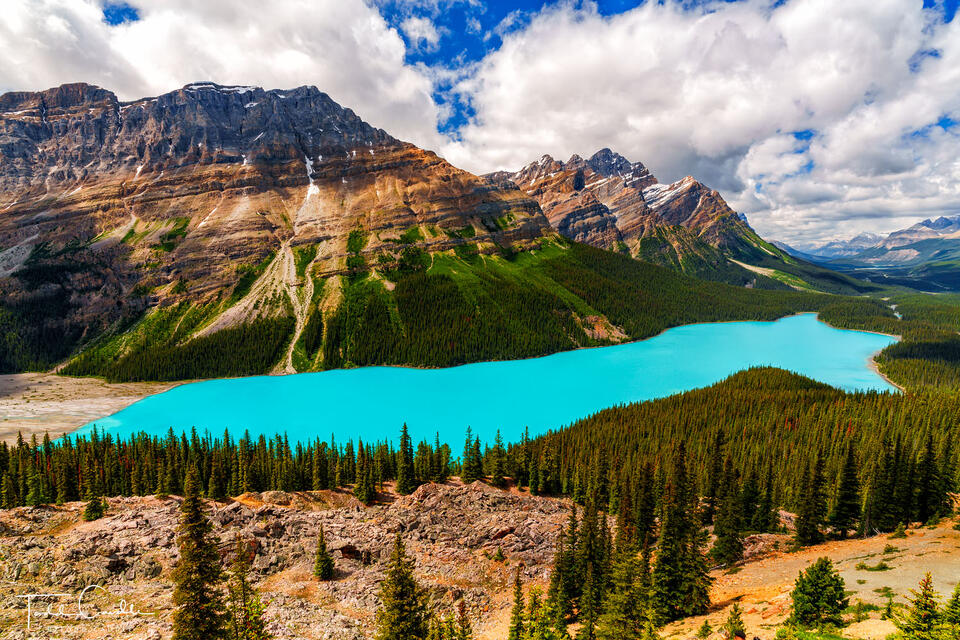 Peyto Lake in Full print