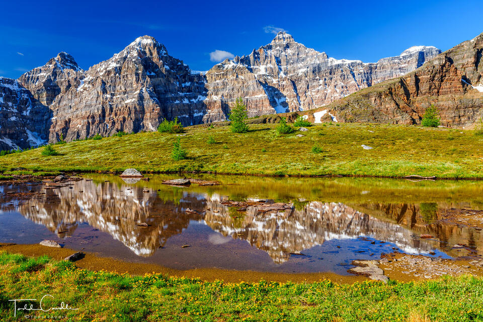 Larch Valley Reflection print