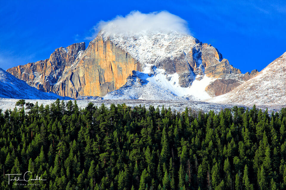 Longs Peak from Moraine Park (close-up) print