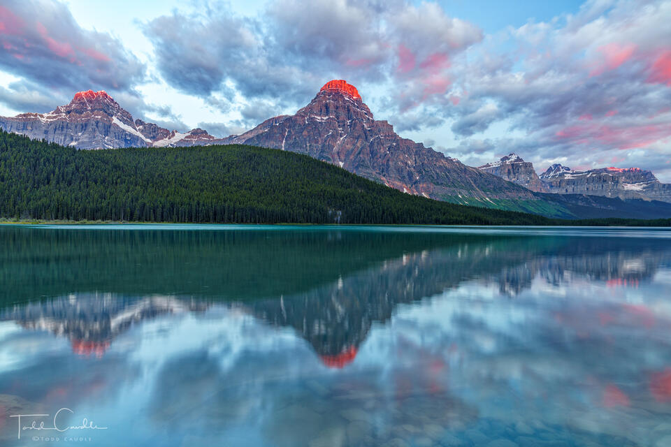 Waterfowl Lakes Alpenglow Reflection of Mount Chephren print