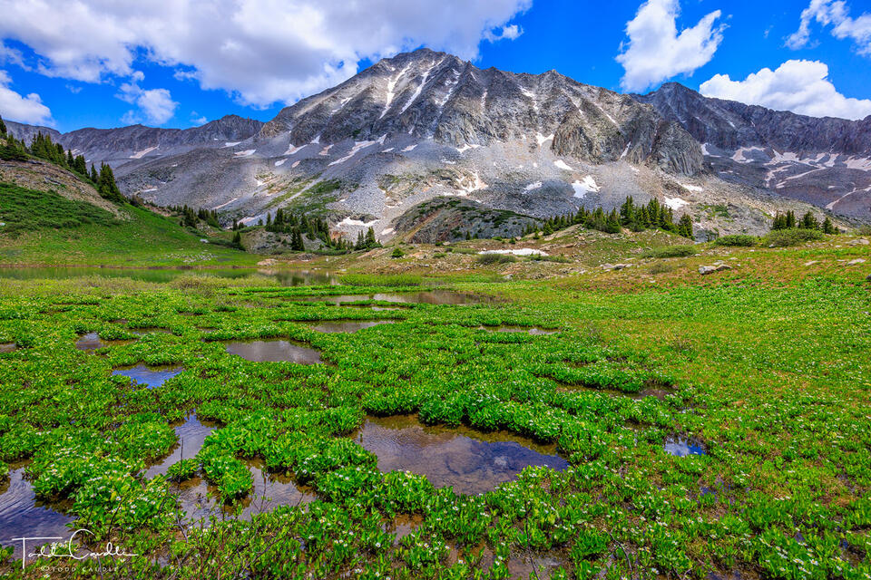 Snowmass Mountain & Little Gem Lake print