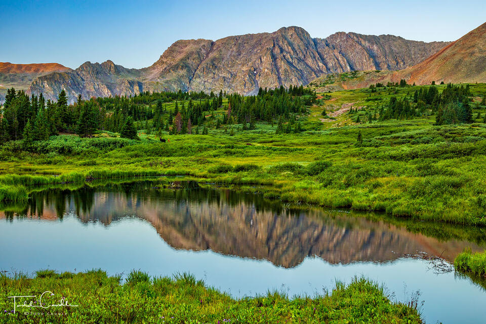Sewanee Peak Reflection with Moose print