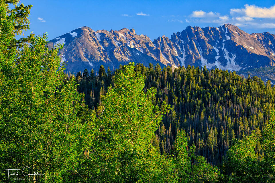Summer View of the Gore Range print