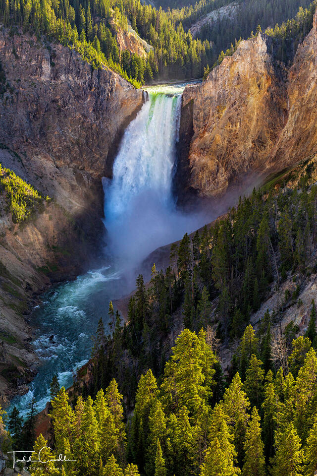 Lower Yellowstone Falls print