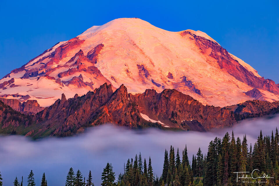 Alpenglow Sunrise on Mount Rainier print
