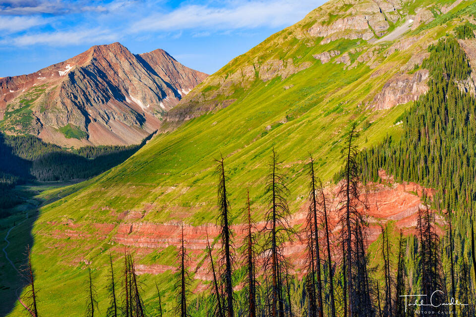 Rolling Mountain Summer print
