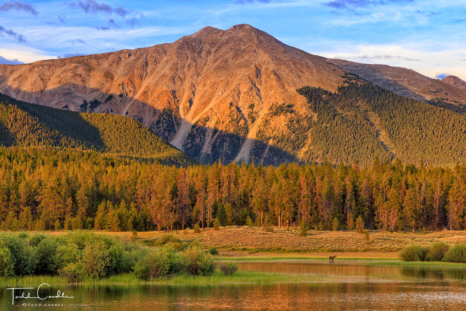 Jenkins Mountain Reflection print