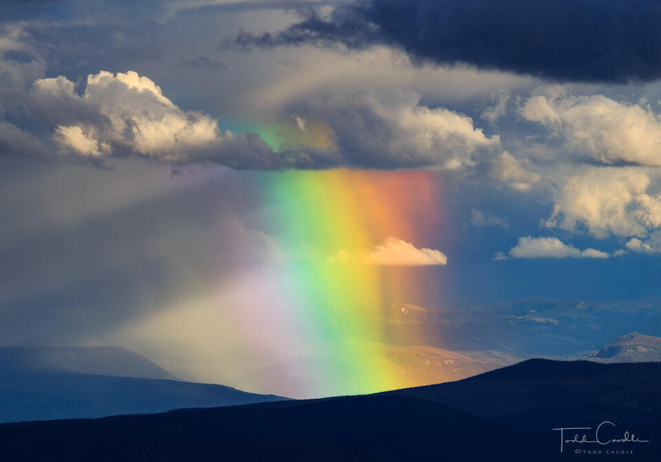 Prismatic Curtain print