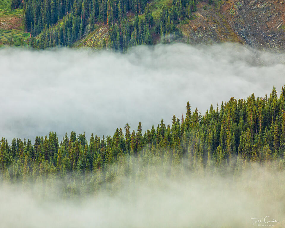 Fog & Forested Ridges print