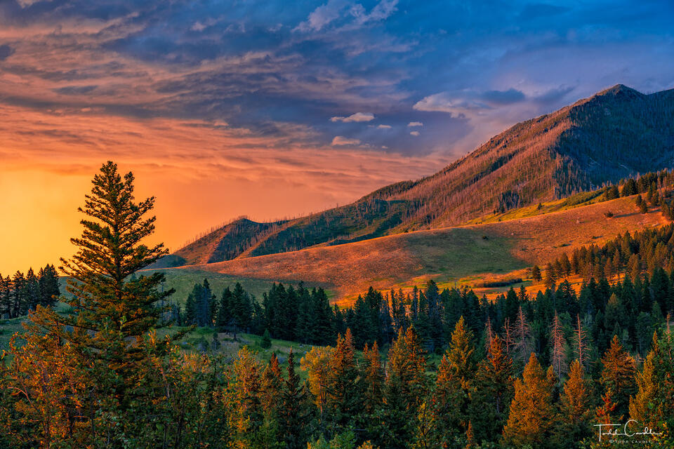 Absarokas Sunset print