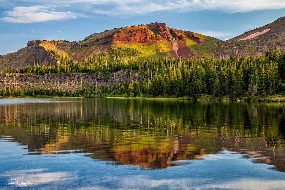 Wall Lake Calm Reflection print