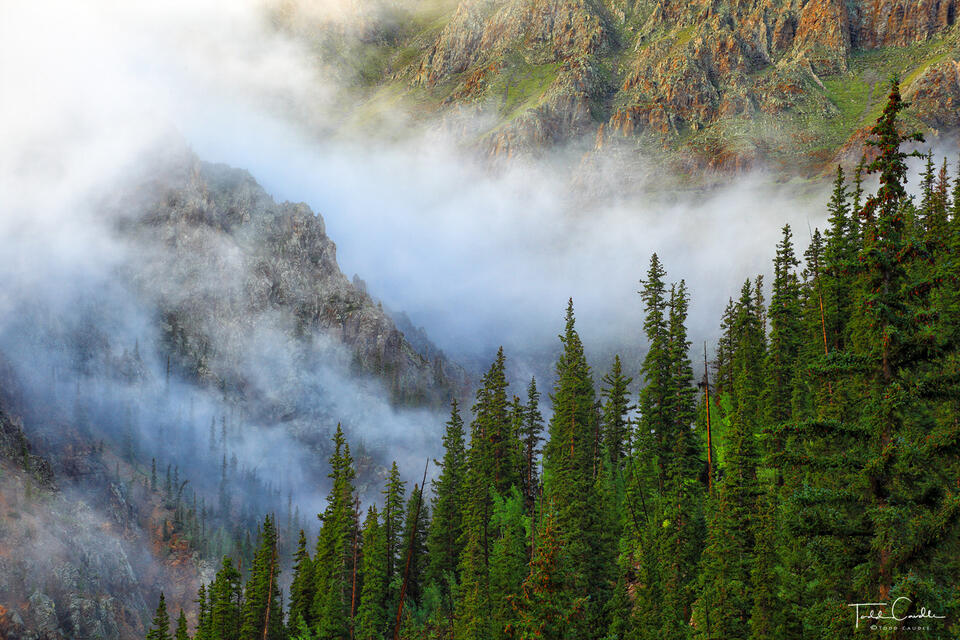 Stony Pass Clearing Fog print