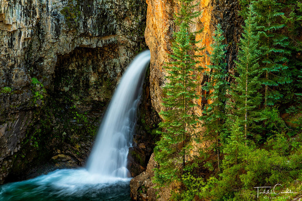 Whitmore Falls print