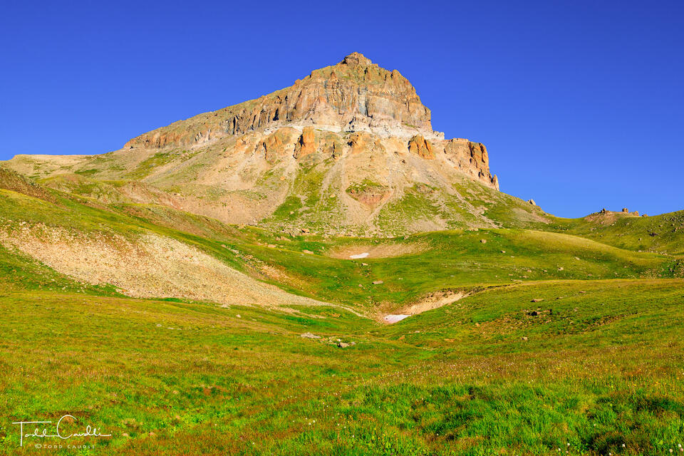 Uncompahgre Meadow print