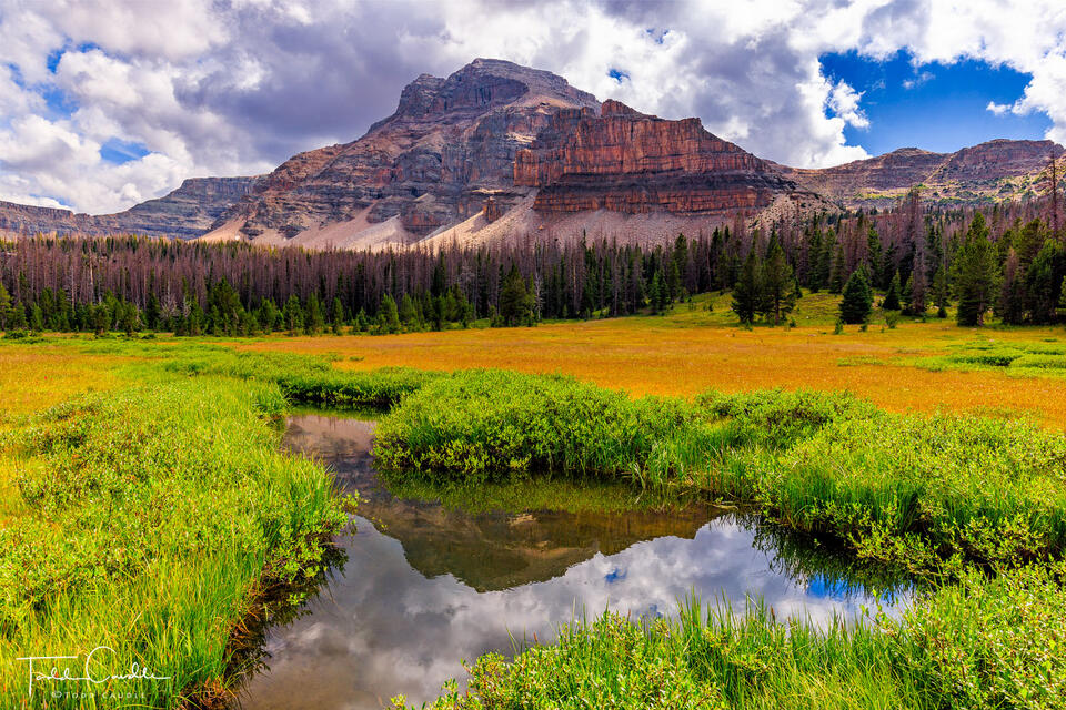 Ostler Peak Reflection print