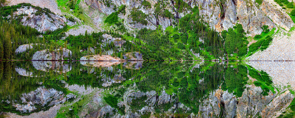 Rorschach Reflection print