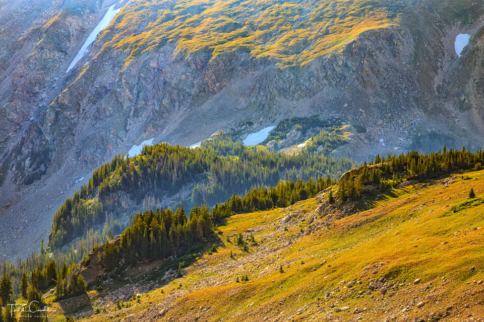 Alpine Paradise print
