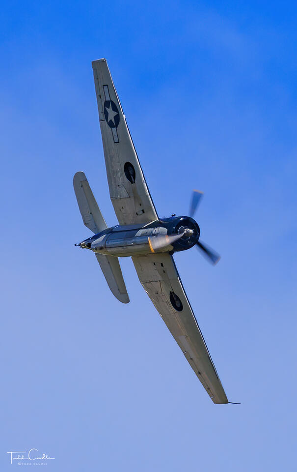 TBM Avenger print