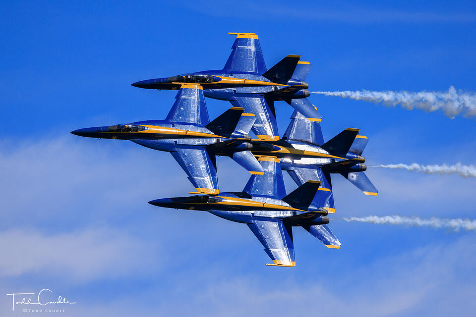 Blue Angels print