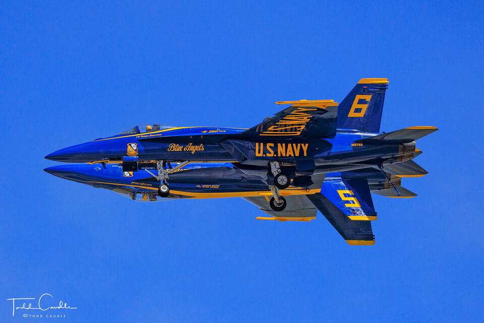 Blue Angels print