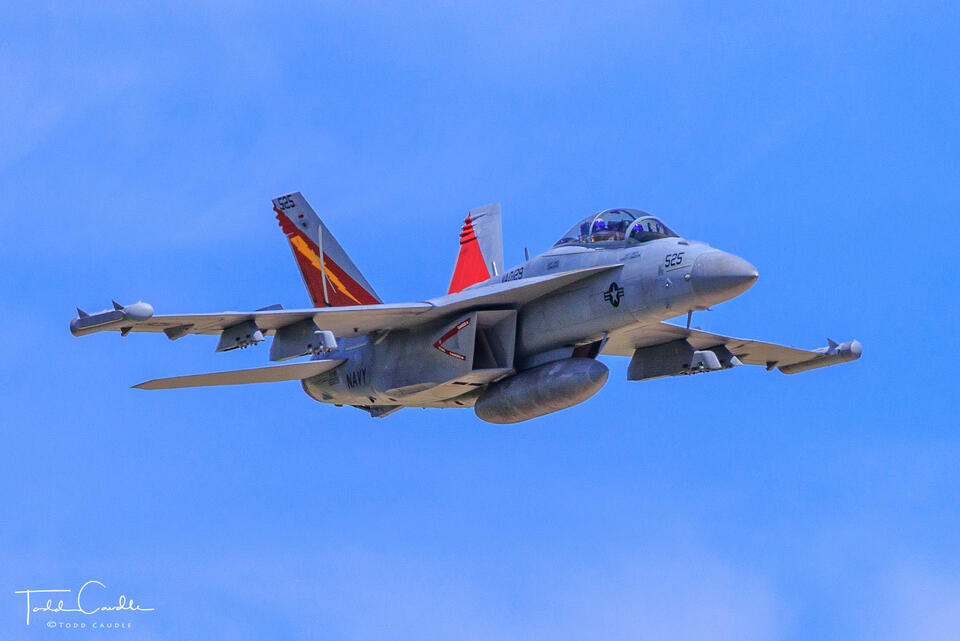 EA-18G Growler print