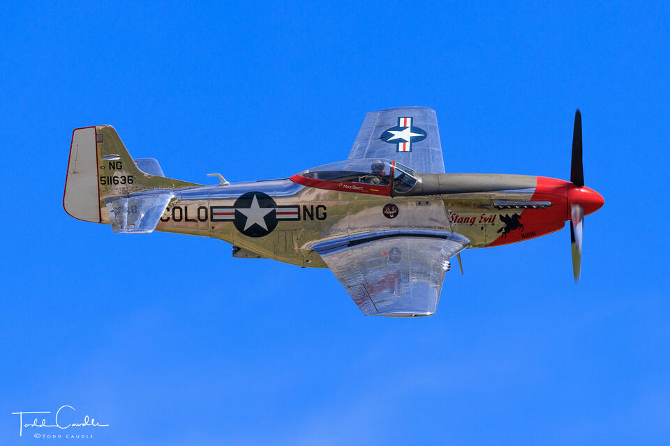 P-51D Mustang 'Stang Evil print